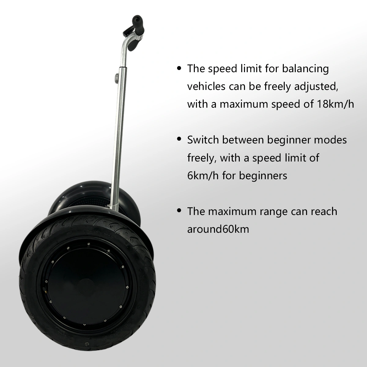 2-Wheel Self-Balancing Scooter Product details