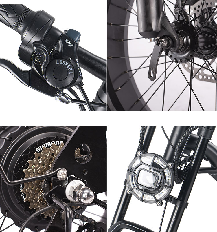 2 wheel Fat Tire Electric Bike