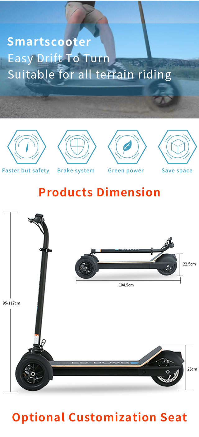 3 wheel Electric scooter product details
