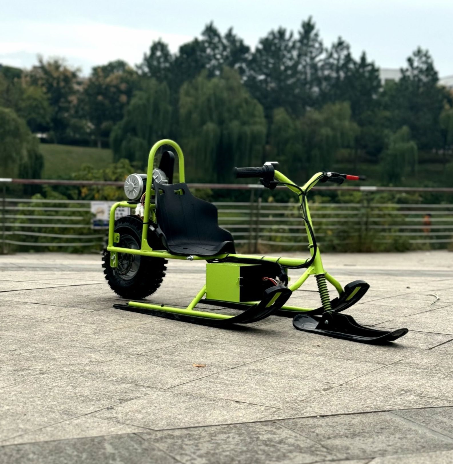 Eswing E12 electric scooter for snow