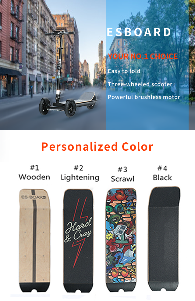 3 wheel electric scooter product details