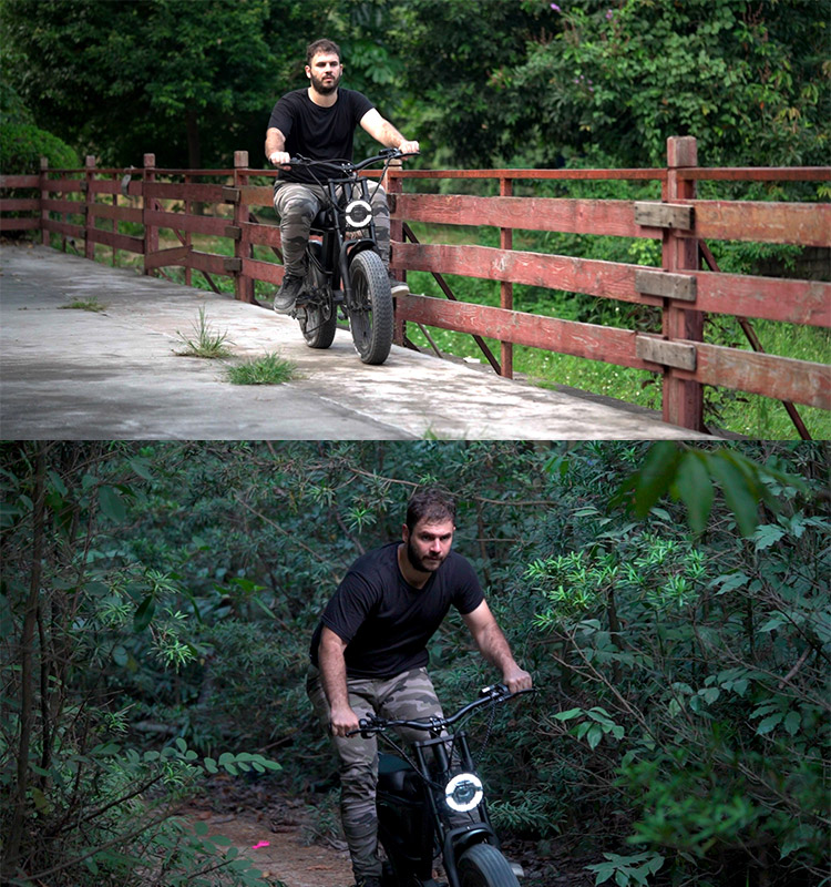 Eswing fat tire electric bike