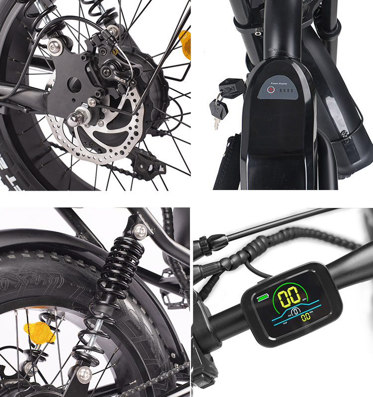 Fat Tire Electric Bike details