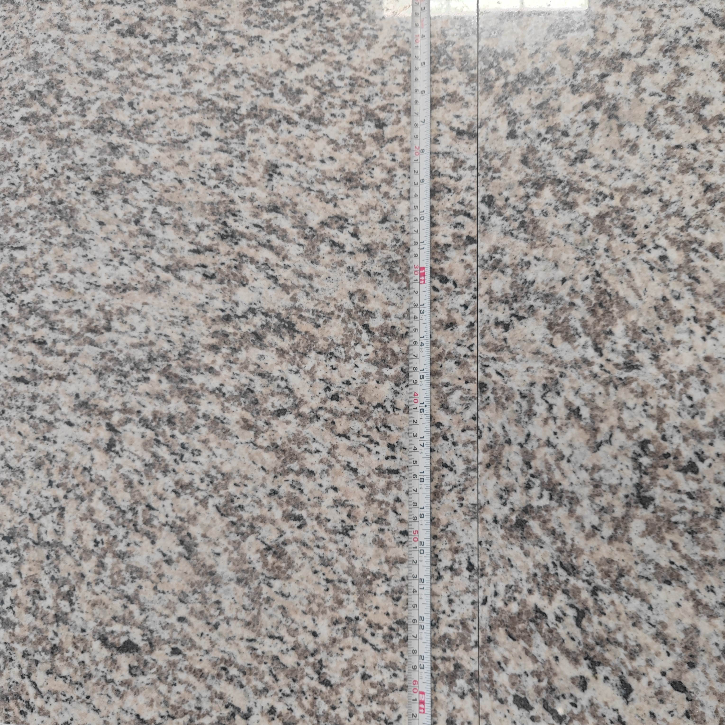 wholesale white tiger granite countertop