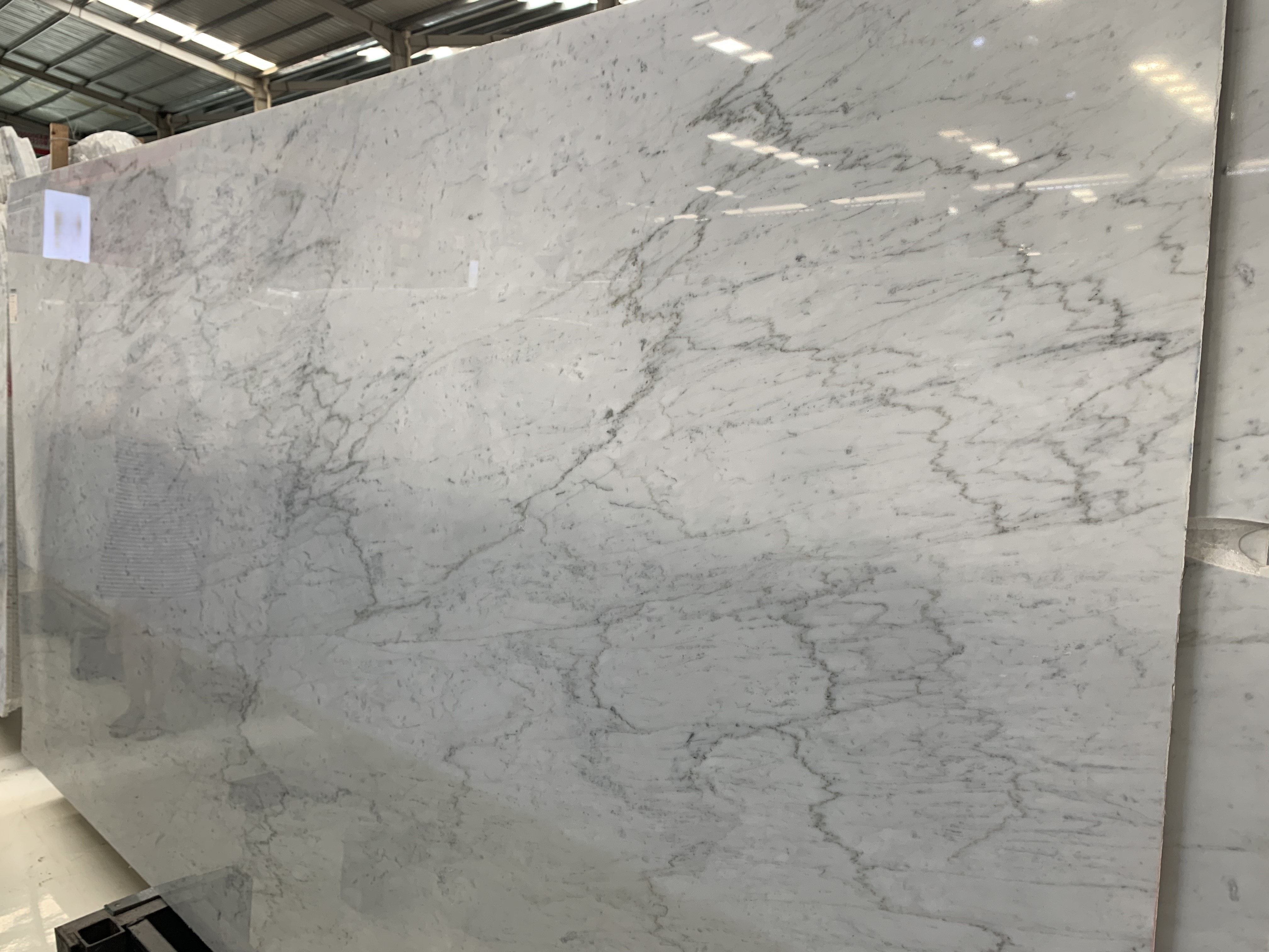 carrara white tile