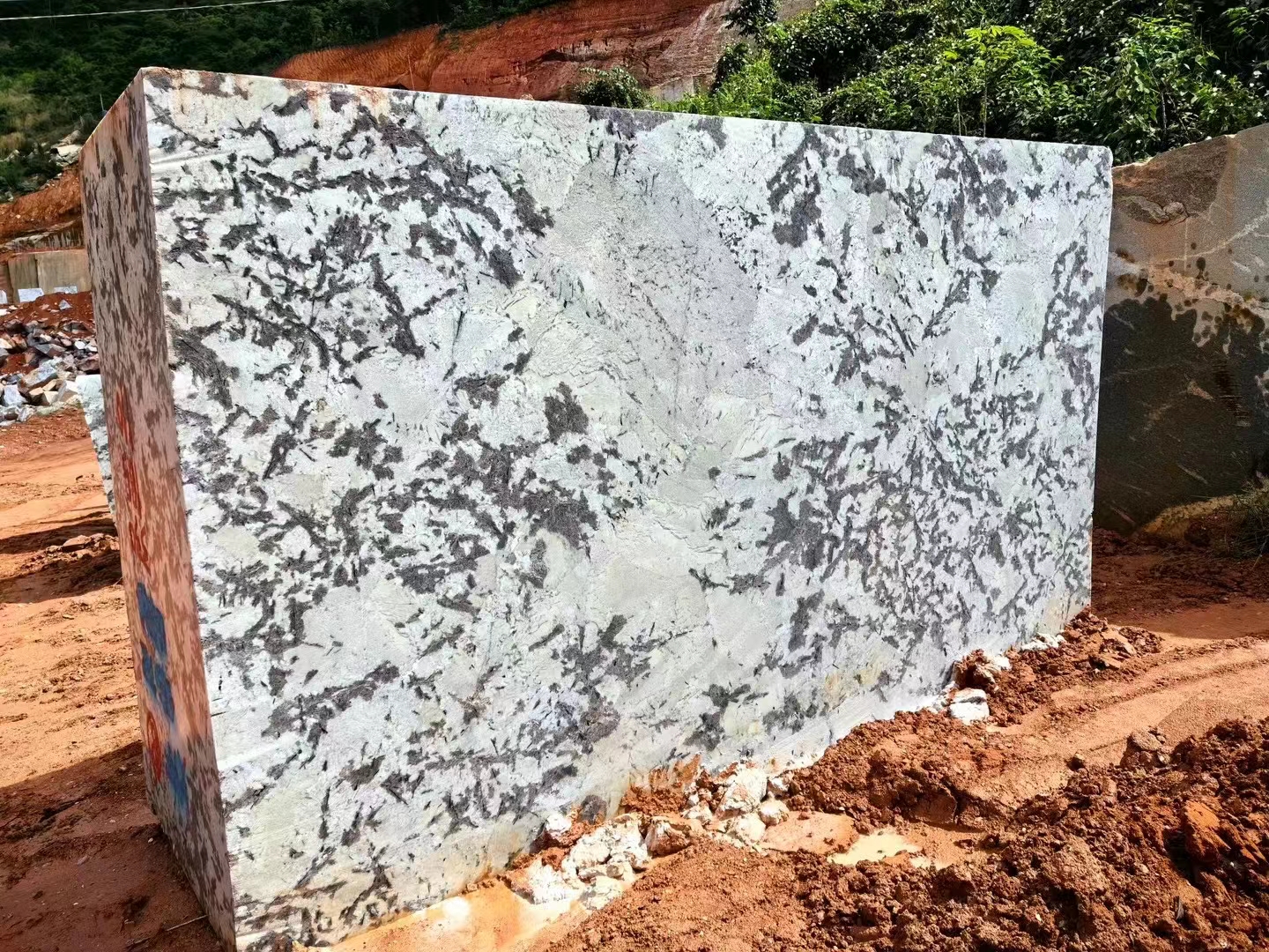patagonia white granite