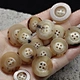 real horn buttons