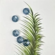 男士海滩纽扣衬衫