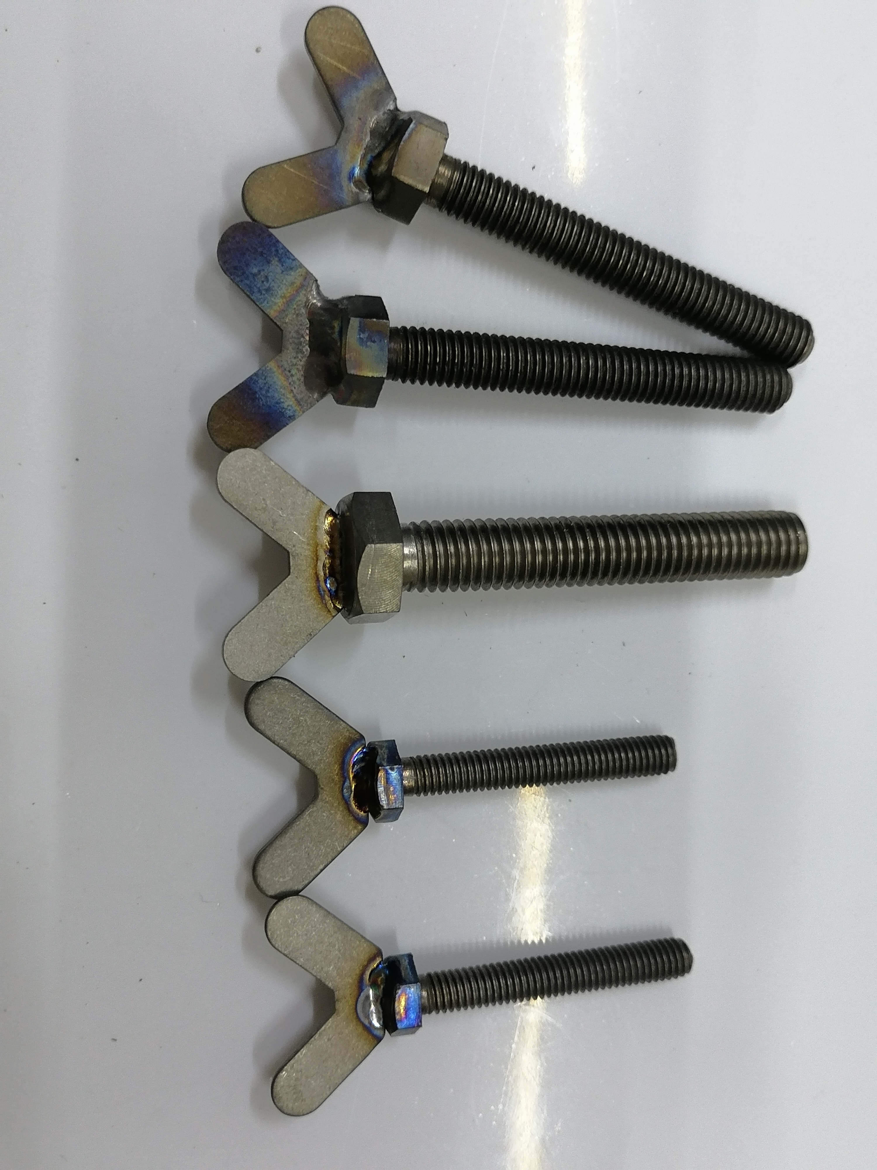 Titanium Disc Screw