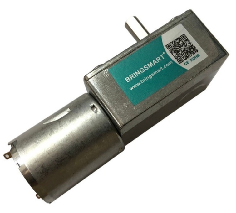 worm gear motor