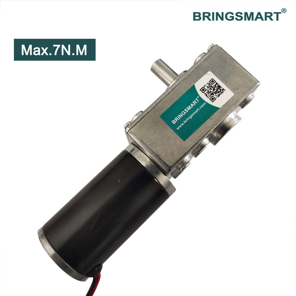 12v motor with worm and 12v worm gear motor Manufacturer