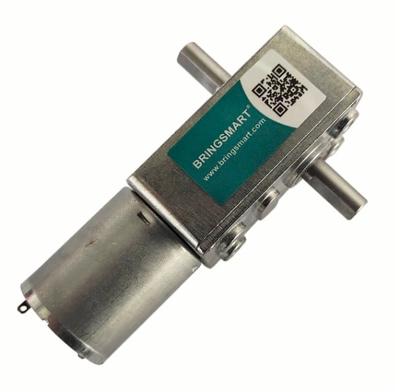 DUAL SHAFT MOTOR