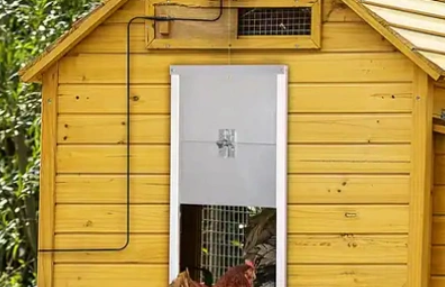 Motor for automatic chicken coop door