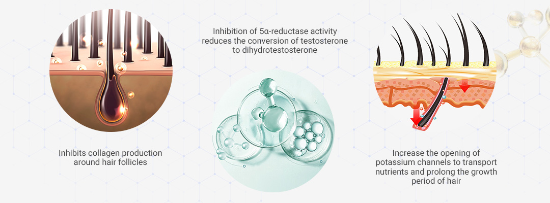 Pyrrolidinyl Diaminopyrimidine Oxide,hair growth,hair growth products