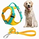 Matching contrasting waterproofed solid colored polyester webbing pet products dog harness set