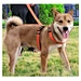 wholesale Durable reflective Adjustable Soft Nylon big dog harness