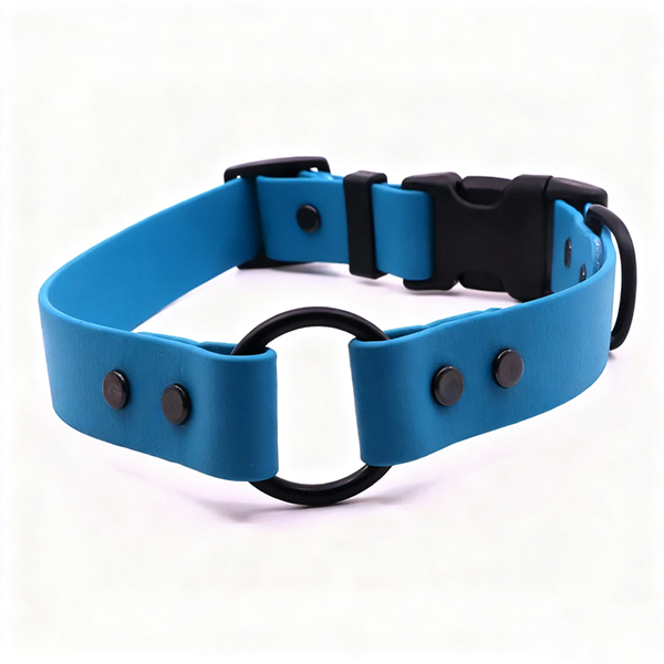 adjustable dog collar