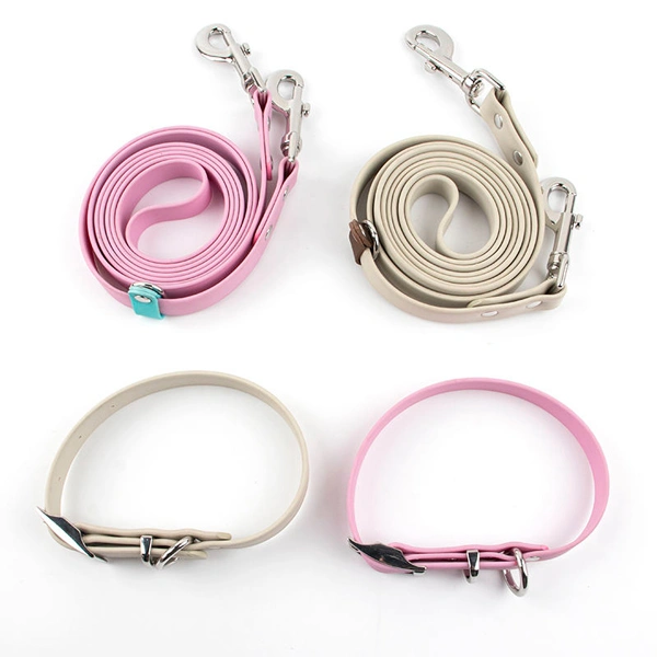 dog collar and leash set
