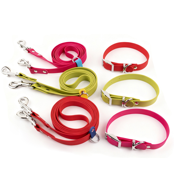 dog collar and leash set