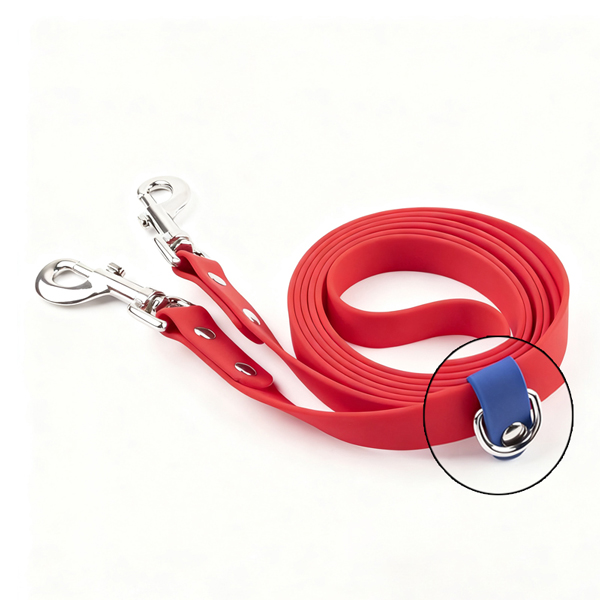 dog collar and leash set