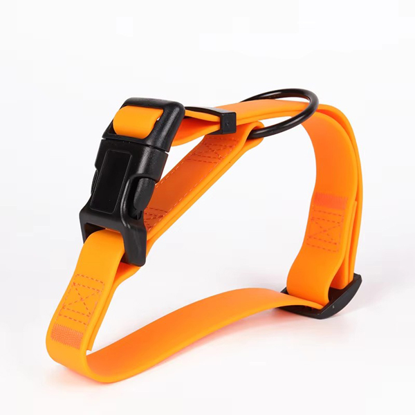 petsafe collar