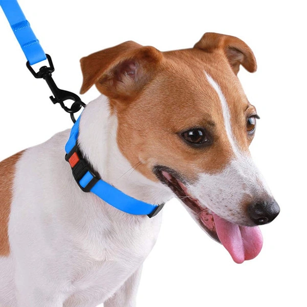 petsafe collar