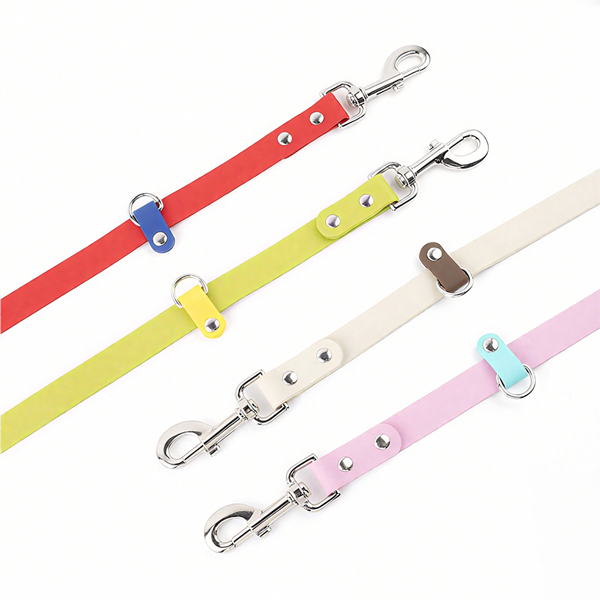 dog collar and leash set