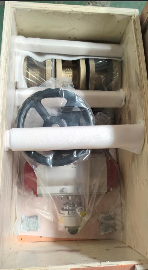 Valen Tech Pneumatic Actuator