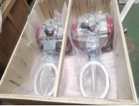 Concentric Butterfly Valve