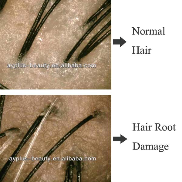 HAIR.jpg