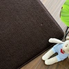 Customizable printing memory foam bath mat bathroom water absorbing material foam mat
microfiber Coral bath mat memory foam bath mat Safety and comfort to prevent slipping
Microfiber dot polyester rugs living room Non-slip bathroom floor mat living room c