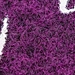 pp door mats
non slip bath mat
Stepping foot floor mat