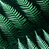 Customizable printing memory foam bath mat bathroom water absorbing pteridophyte printed foam mat
microfiber Coral bath mat memory foam bath mat Safety and comfort to prevent slipping
carpets rugs living room Non-slip bathroom floor mat living room carpet