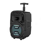 professional powered speakers