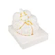 brain ventricles model