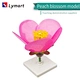 peach blossom