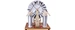 Wimshurst machine  for teaching