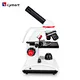 microscope