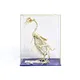 pigeon skeleton specimen for teaching instrtument