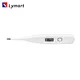 small digital thermometer
