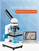usb digital microscope
