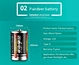 d type battery