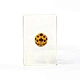 transparent ladybug ladybird resin specimen for teaching