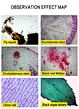usb digital microscope