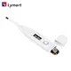 small digital thermometer