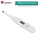 small digital thermometer