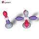 Molecular Model