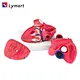 Human Heart Model/Colorful and dissectible model of Human Heart/Anatomical Human Heart Model