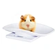 Pet weighing scales are instruments used to measure the weight of pets, such as dogs, cats, and small animals. These scales come in various shapes and sizes, with some designed to accommodate larger or heavier pets.