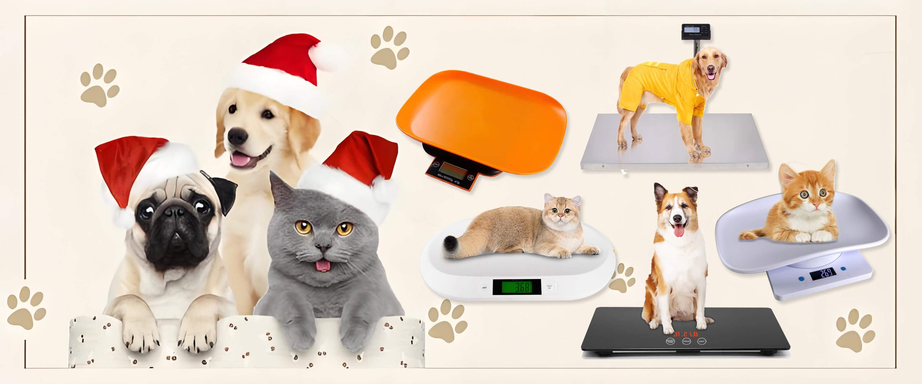 Dog Cat Animal Pet Scale